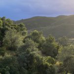 Casa Cuco | Holiday rentals Portugal
