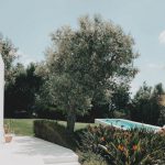 Casa Sabados | Holiday rentals Portugal