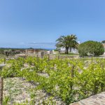 The Ocean Farm | Holiday rentals Portugal