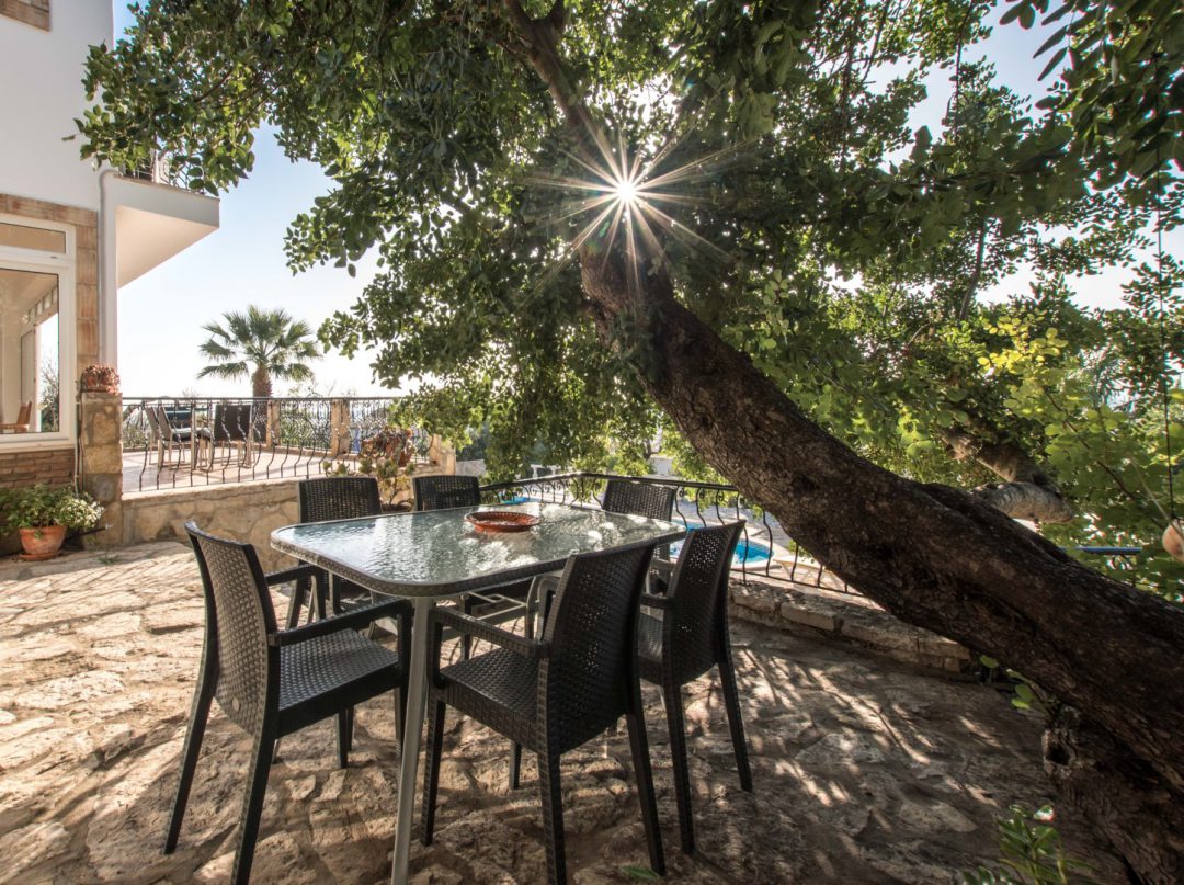 Casa da Palmeira | Holiday rentals Portugal