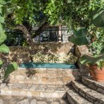 Casa da Palmeira | Holiday rentals Portugal