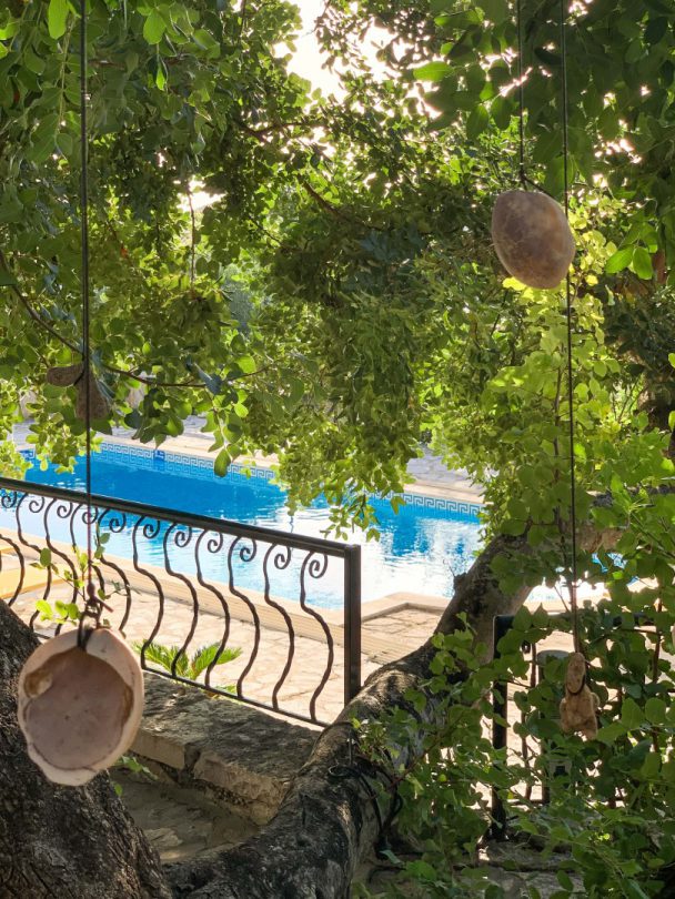 Casa da Palmeira | Holiday rentals Portugal