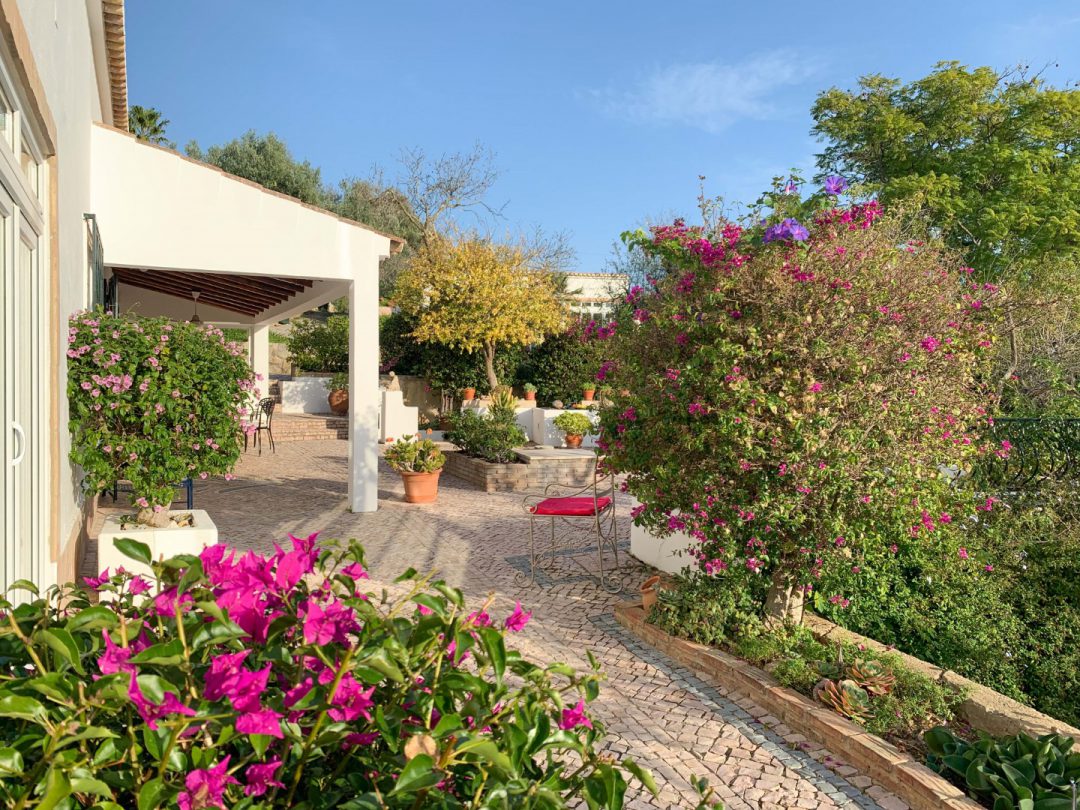 Casa da Palmeira | Holiday rentals Portugal