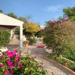 Casa da Palmeira | Holiday rentals Portugal