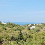 Casa Palm House | Holiday rentals Portugal