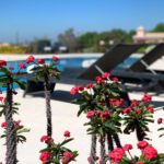 Villa Monte dos Agostos | Holiday rentals Portugal